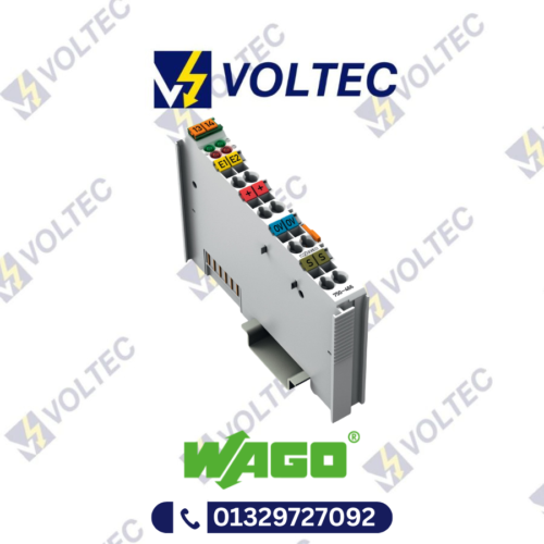 WAGO 2-channel Analog Input | 750-466